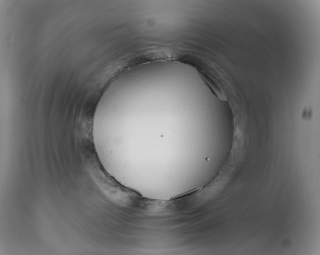 X0000110930096200907021534