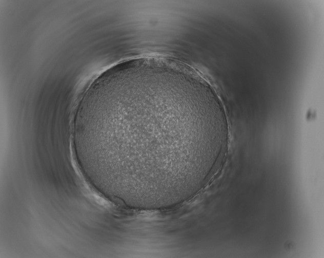 X0000110930097200907021533