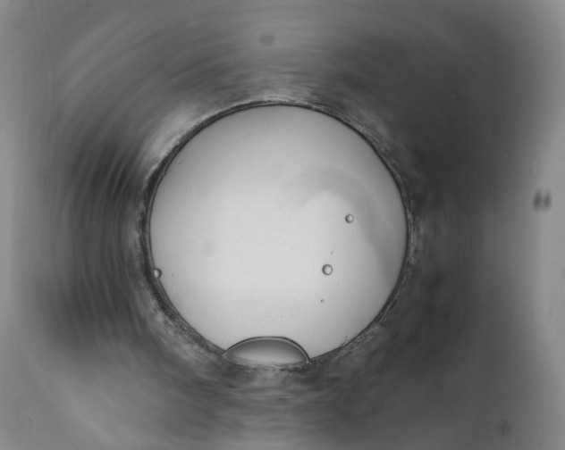 X0000110930098200907021533