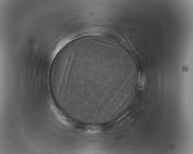 X0000110930099200907021533