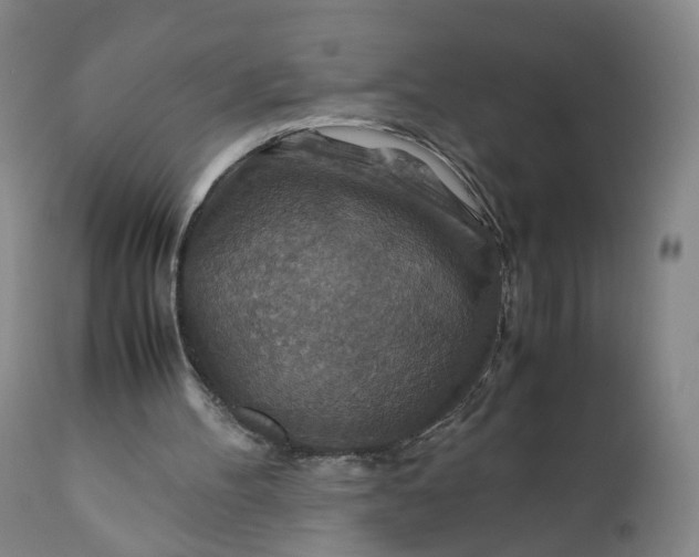 X0000110930100200907021533