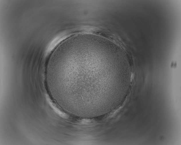 X0000110930101200907021533