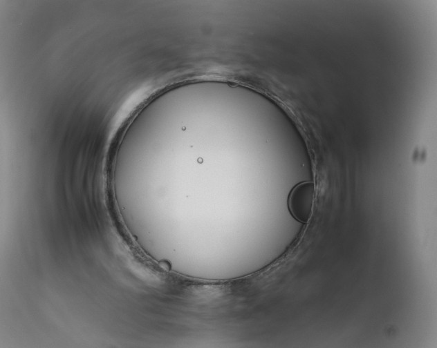 X0000110930102200907021533