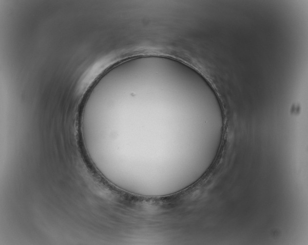 X0000110930103200907021533