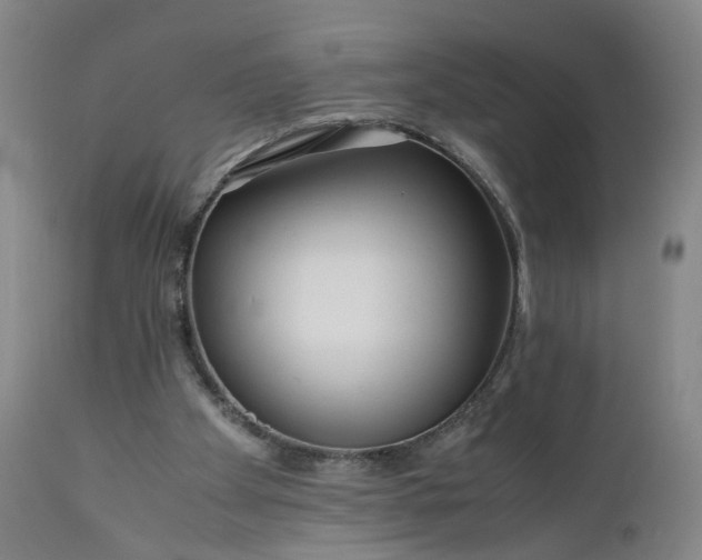 X0000110930105200907021533
