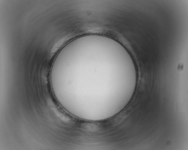 X0000110930106200907021533