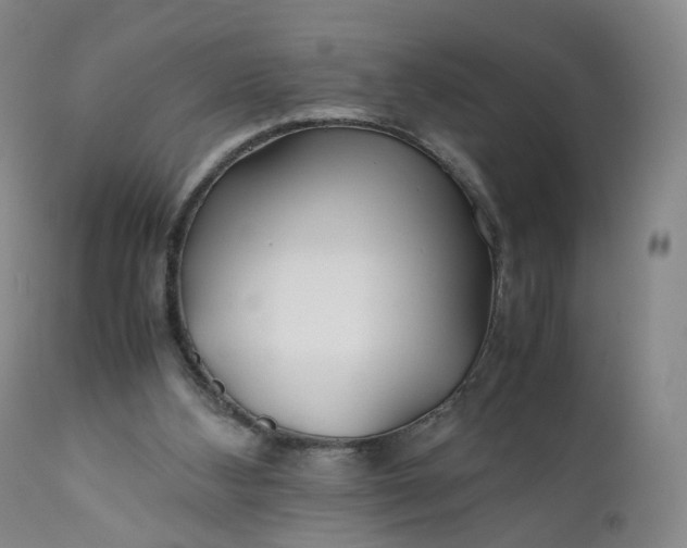 X0000110930108200907021533