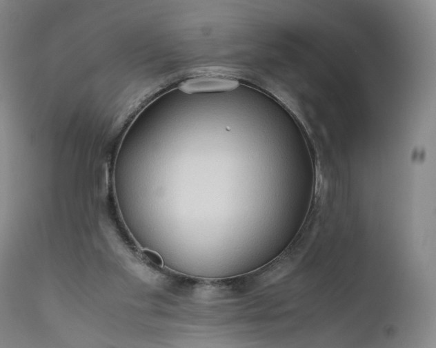 X0000110930109200907021533