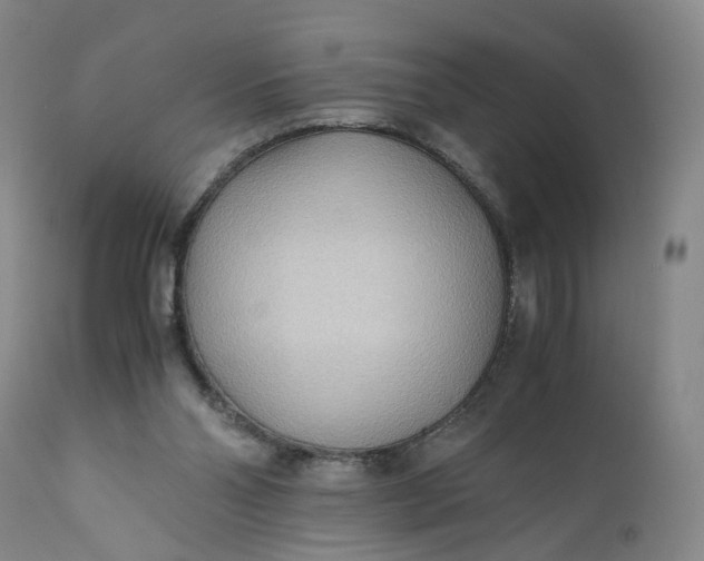 X0000110930110200907021533