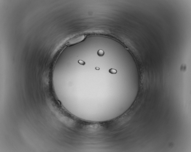 X0000110930112200907021533