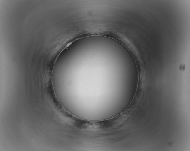 X0000110930113200907021533
