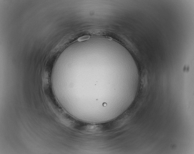X0000110930117200907021533