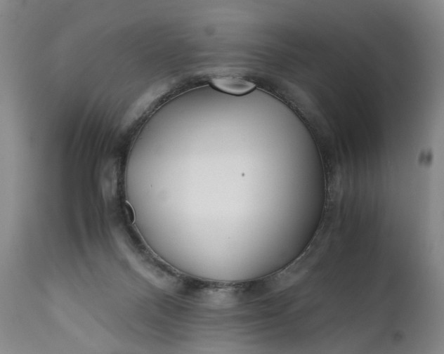 X0000110930120200907021532