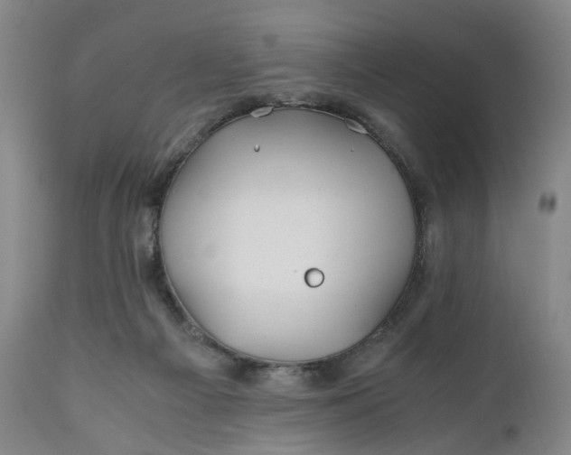 X0000110930121200907021532