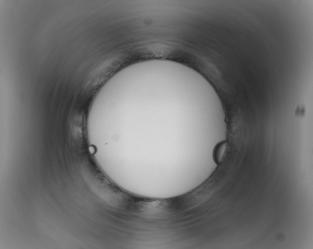 X0000110930122200907021532
