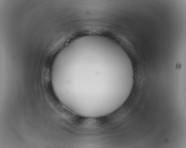 X0000110930123200907021532