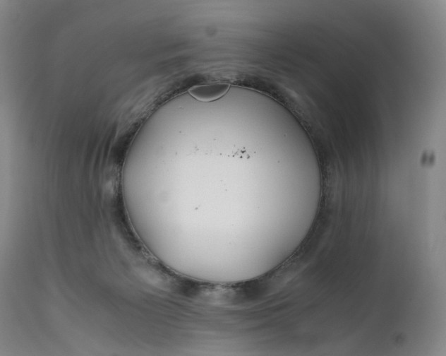 X0000110930125200907021532