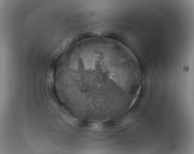 X0000110930127200907021532