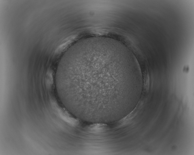 X0000110930128200907021532