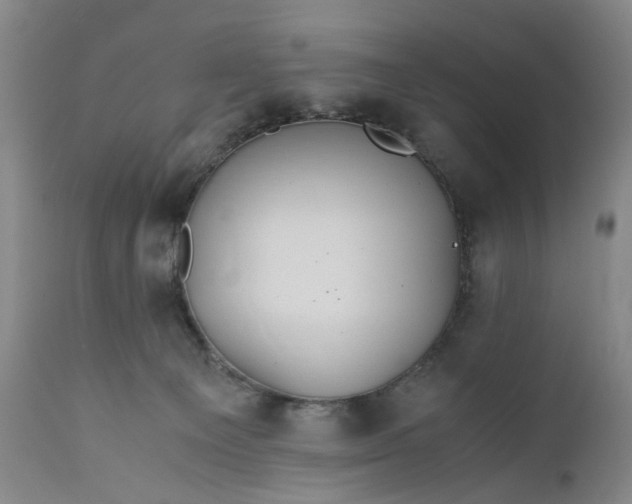 X0000110930129200907021532