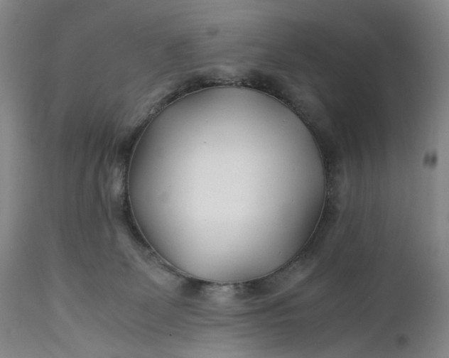 X0000110930131200907021532