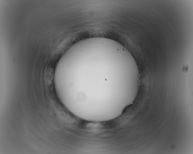 X0000110930133200907021532