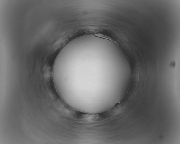 X0000110930135200907021532