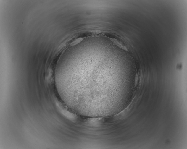 X0000110930136200907021532