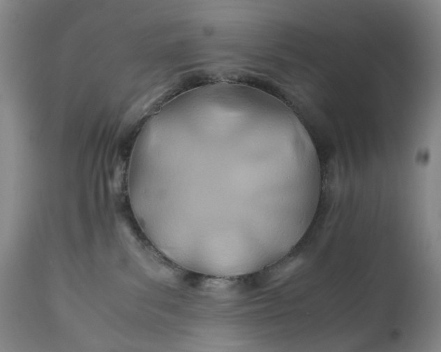X0000110930139200907021532