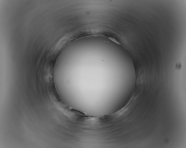 X0000110930140200907021532