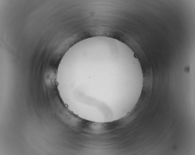 X0000110930142200907021532