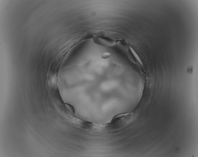 X0000110930143200907021532