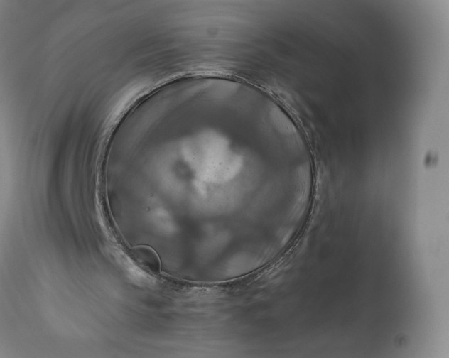 X0000110930145200907021531