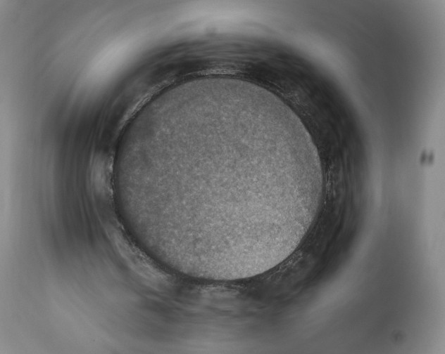 X0000110930146200907021531