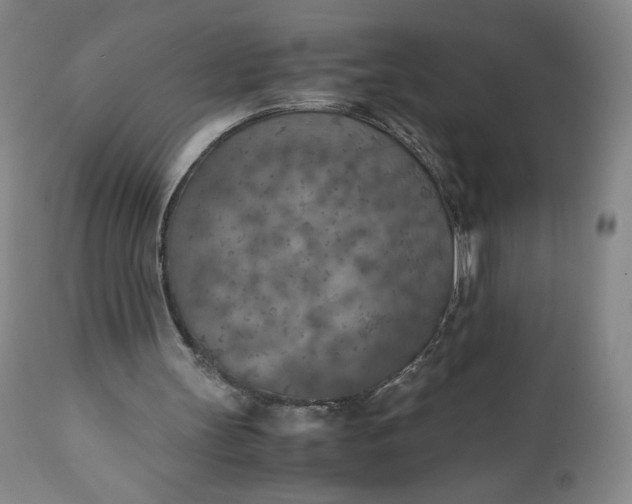 X0000110930147200907021531