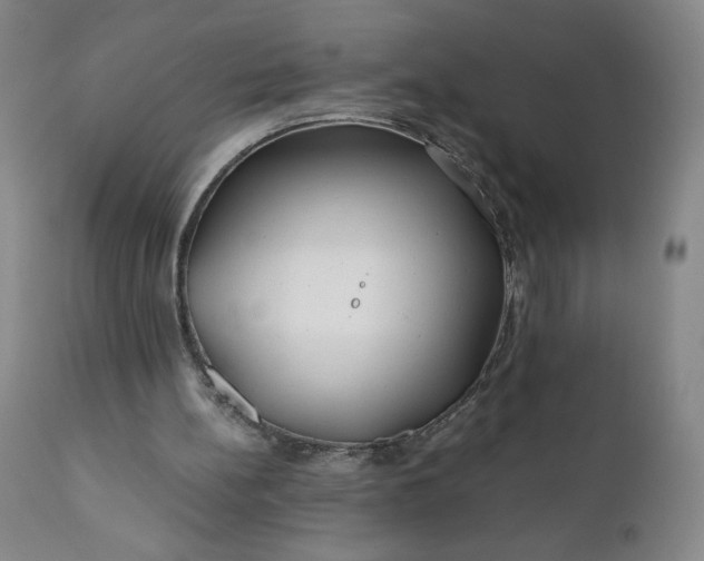 X0000110930148200907021531