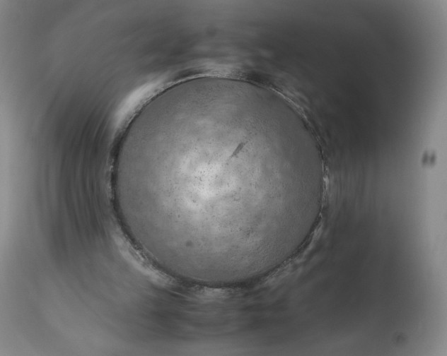 X0000110930149200907021531
