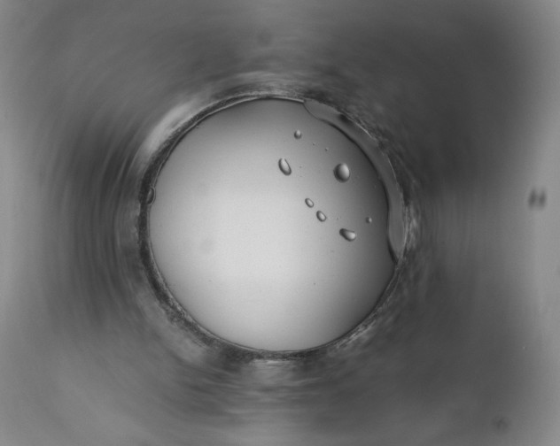 X0000110930150200907021531
