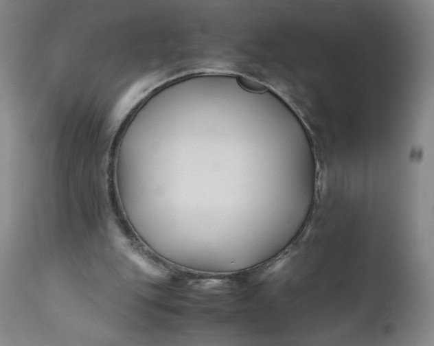 X0000110930151200907021531