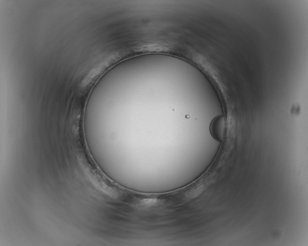 X0000110930153200907021531