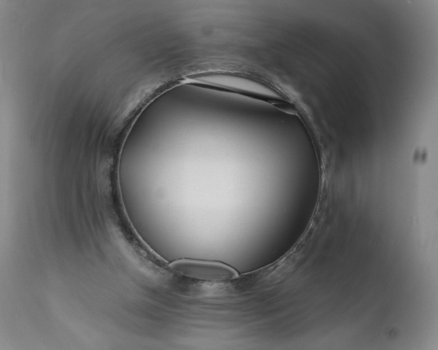 X0000110930154200907021531