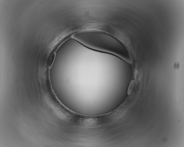 X0000110930156200907021531