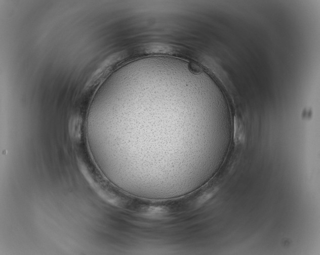 X0000110930157200907021531