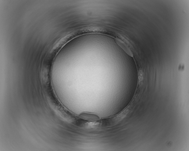 X0000110930158200907021531
