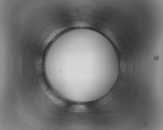 X0000110930159200907021531