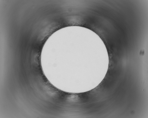 X0000110930162200907021531