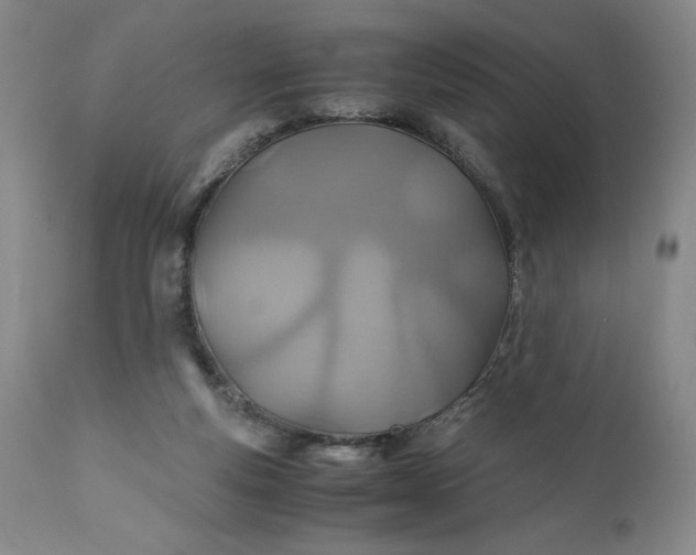 X0000110930163200907021531