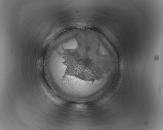 X0000110930165200907021531