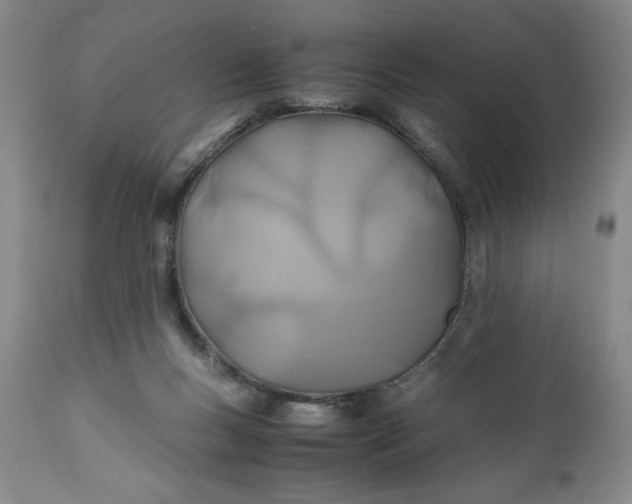 X0000110930167200907021531
