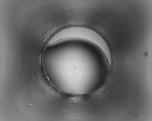 X0000110930168200907021531